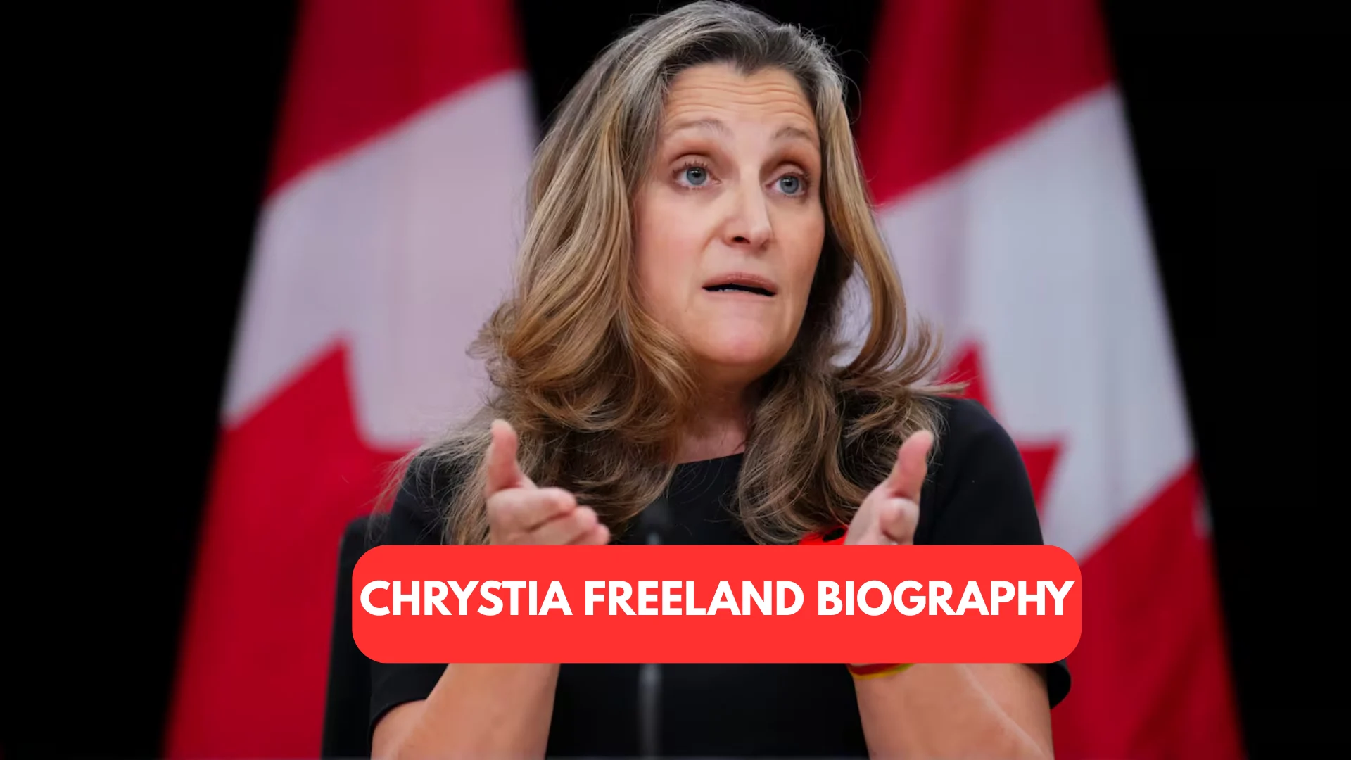 Chrystia Freeland Biography