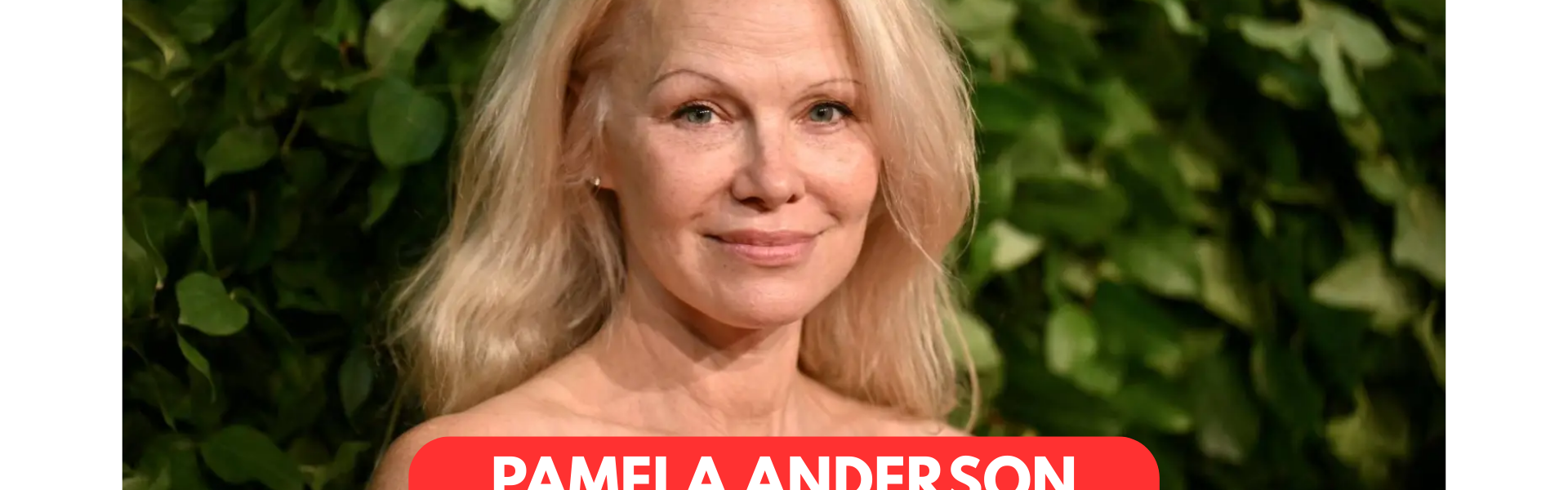pamela anderson biography