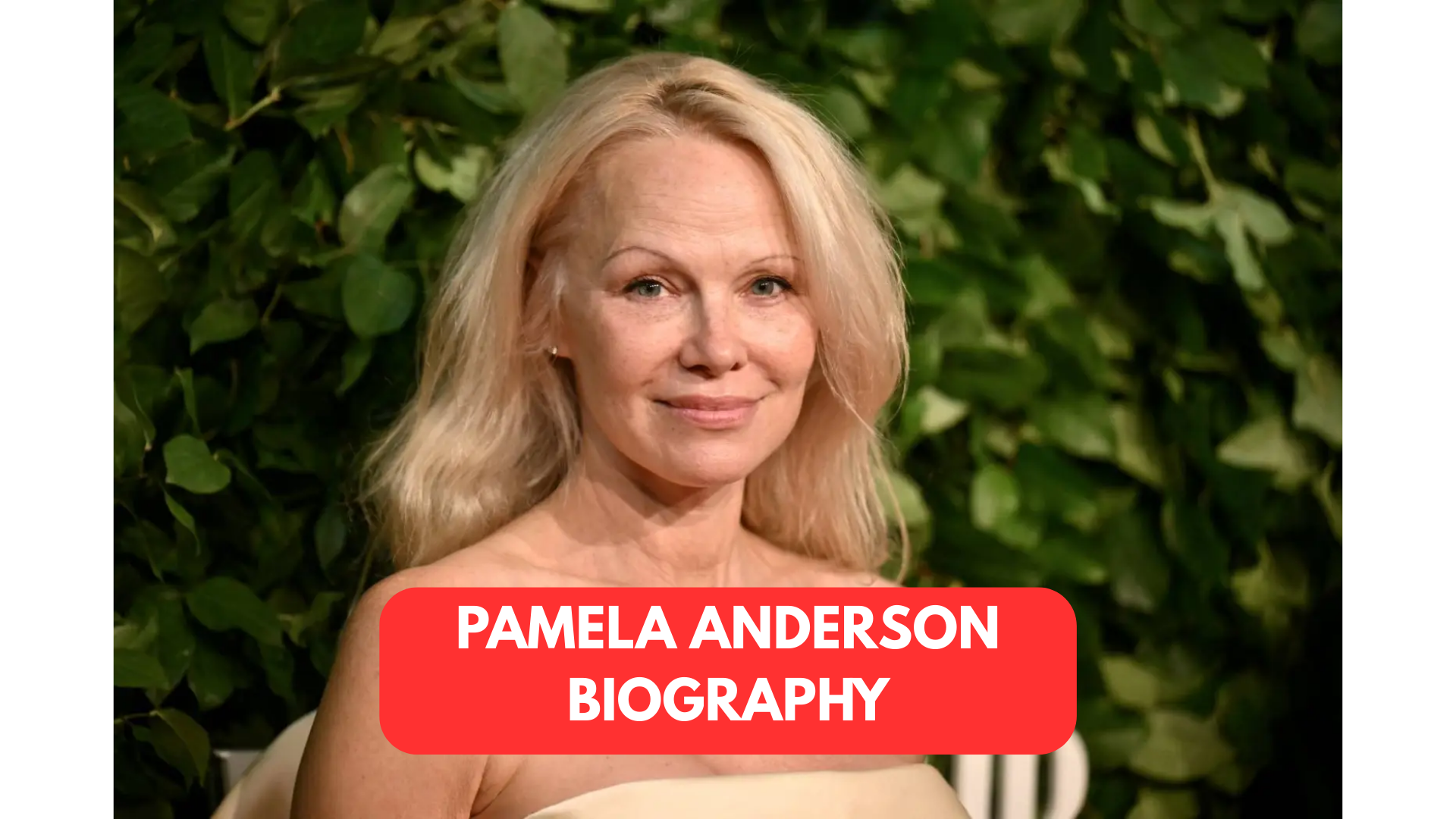 pamela anderson biography